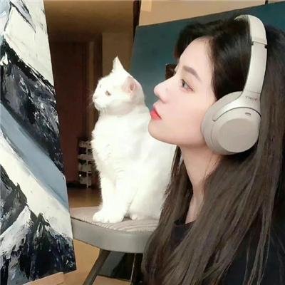 翻唱人生