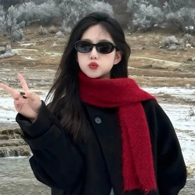 全美缉凶:本·拉登